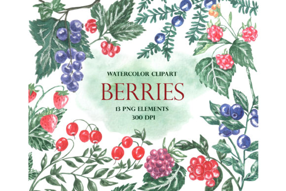 Berries Watercolor Clipart. Harvest