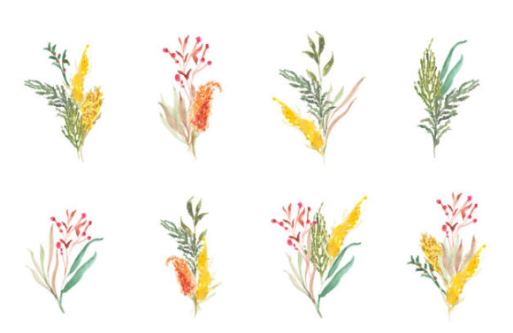 Bouquet Grass and Wheat Watercolor Paint Illustrations