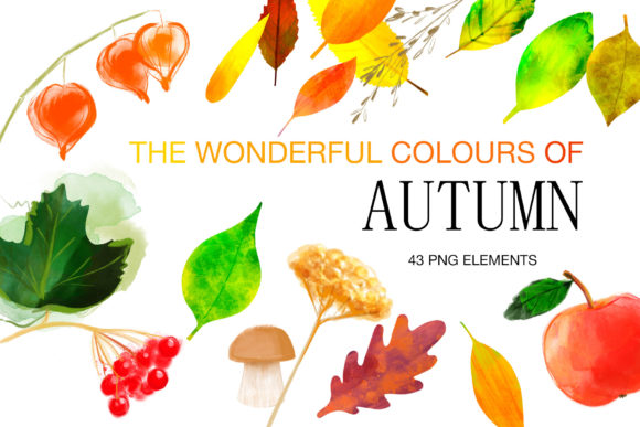 Digital Watercolor Autumn Clipart, Fall Illustrations