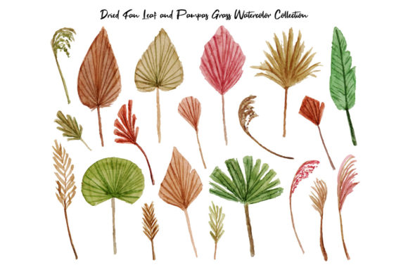 Dried Fan Leaf Pampas Grass Watercolor Illustrations