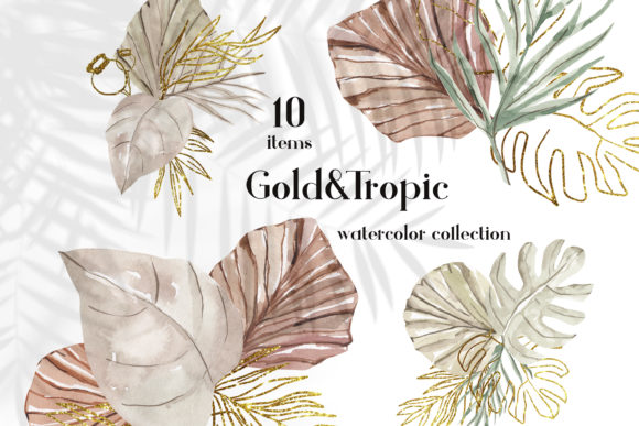 Dried Palm Leaves Watercolor Clipart Png