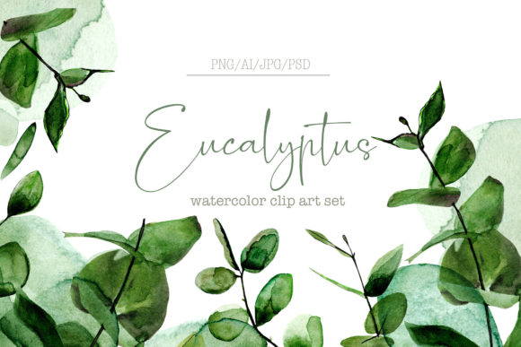 Eucalyptus Watercolor Set for Illustrations