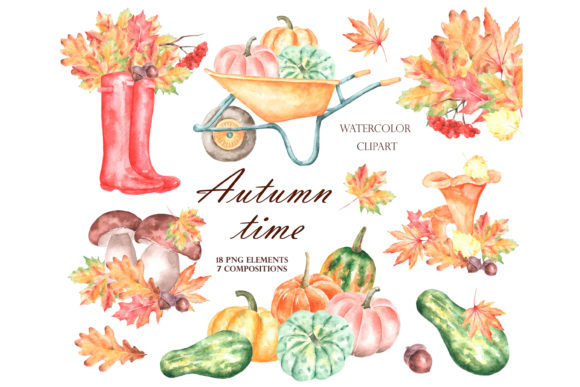 Fall Watercolor Clipart. Pumpkin. Leaves. Illustrations