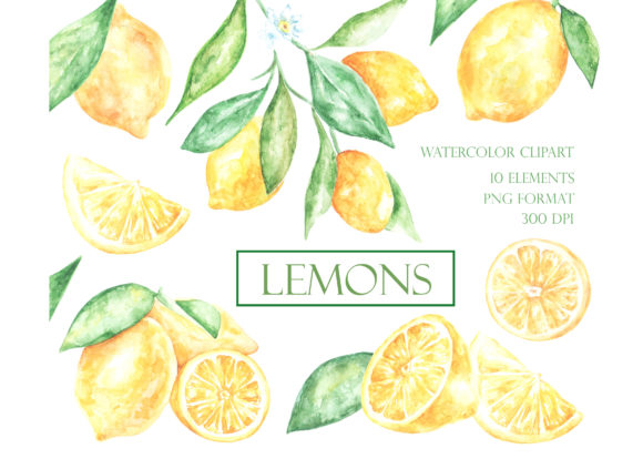 Lemon Watercolor Clipart. Illustrations