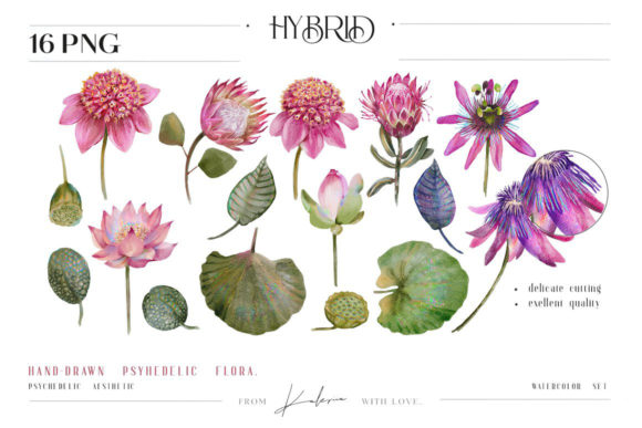 Psychedelic Watercolor Floral Collection and Illustrations