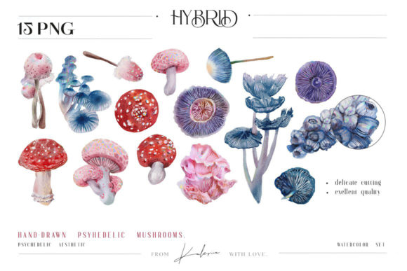 Psychedelic Watercolor Mushrooms Set & Illustrations