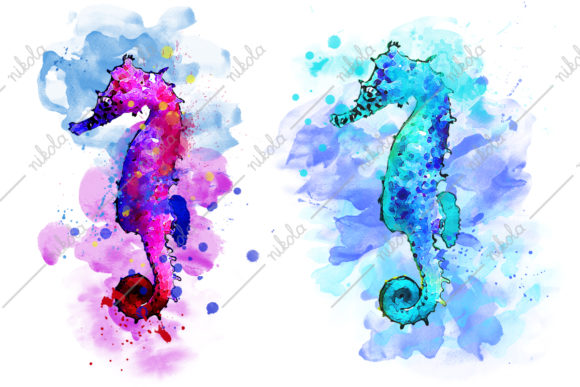 Seahorse Sublimation Watercolor