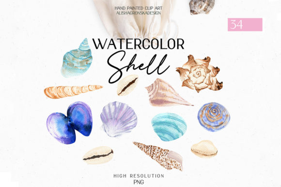 Seashells Watercolor Digital Clipart and Illustrations