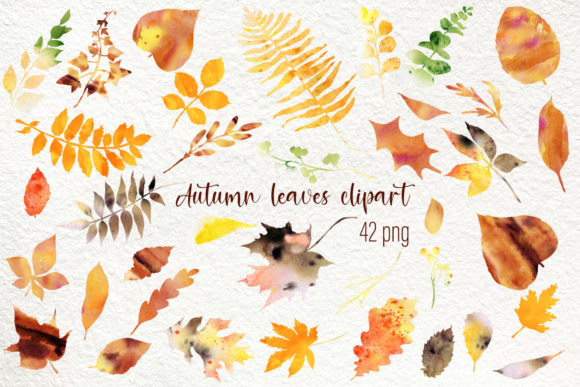 Watercolor Autumn Falling Leaf Clipart and Illustrations