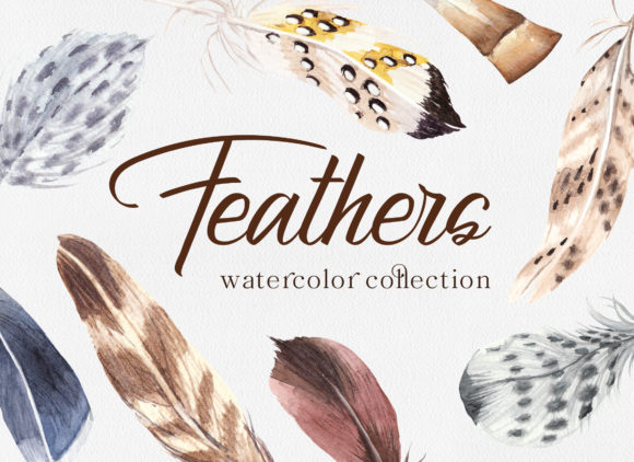 Watercolor Bohemian Feathers Collection and Illustrations