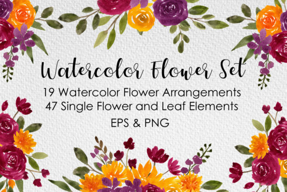 Watercolor Colorful Rose Flowers Illustrations