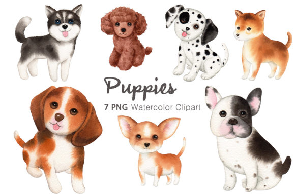 Watercolor Dog Puppy Clipart and Illustrations