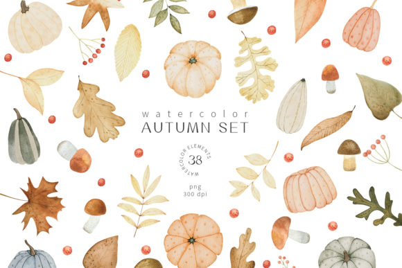 Watercolor Fall Autumn Floral Illustrations