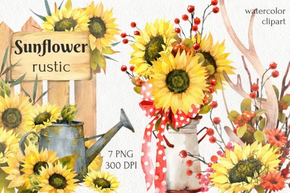 Watercolor Fall Sunflower, Rustic PNG