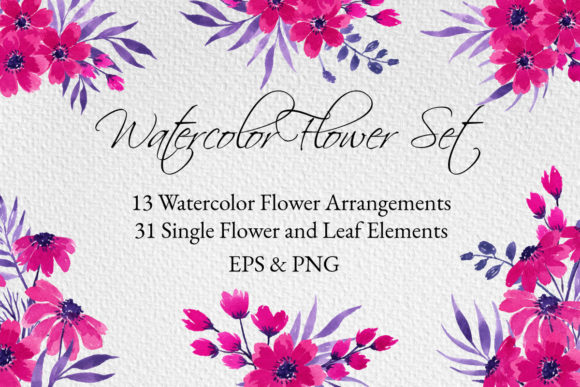 Watercolor Floral Fuchsia Set and Illustrations