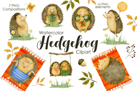 Watercolor Hedgehog Clipart & Illustrations Review