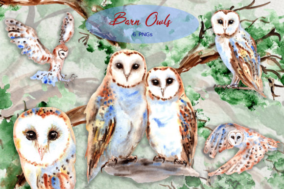 Watercolor Woodland Barn Owls Clip Art